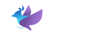 Ox365 voor Teams